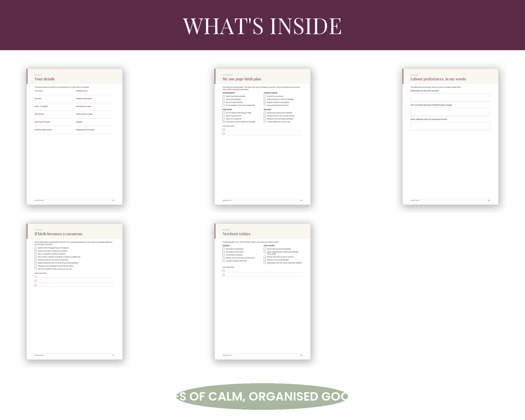 What's inside the birth plan template